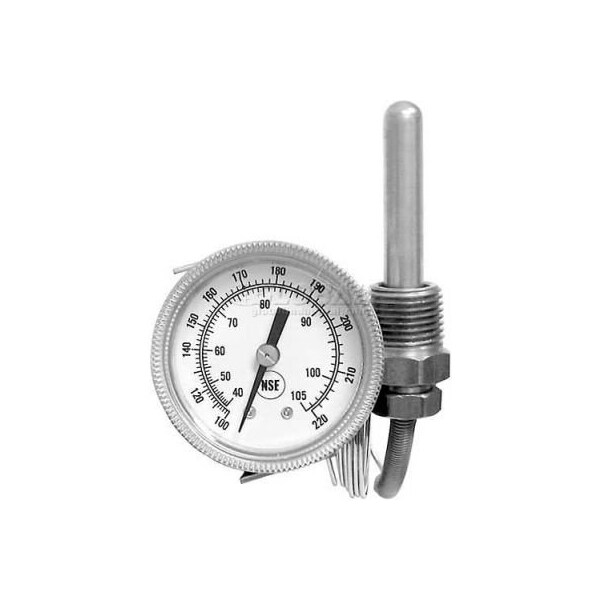 Temperature Gauge, 2" Dia., -100-220F, Rear Palnut, For American Dish Service, 299-1005